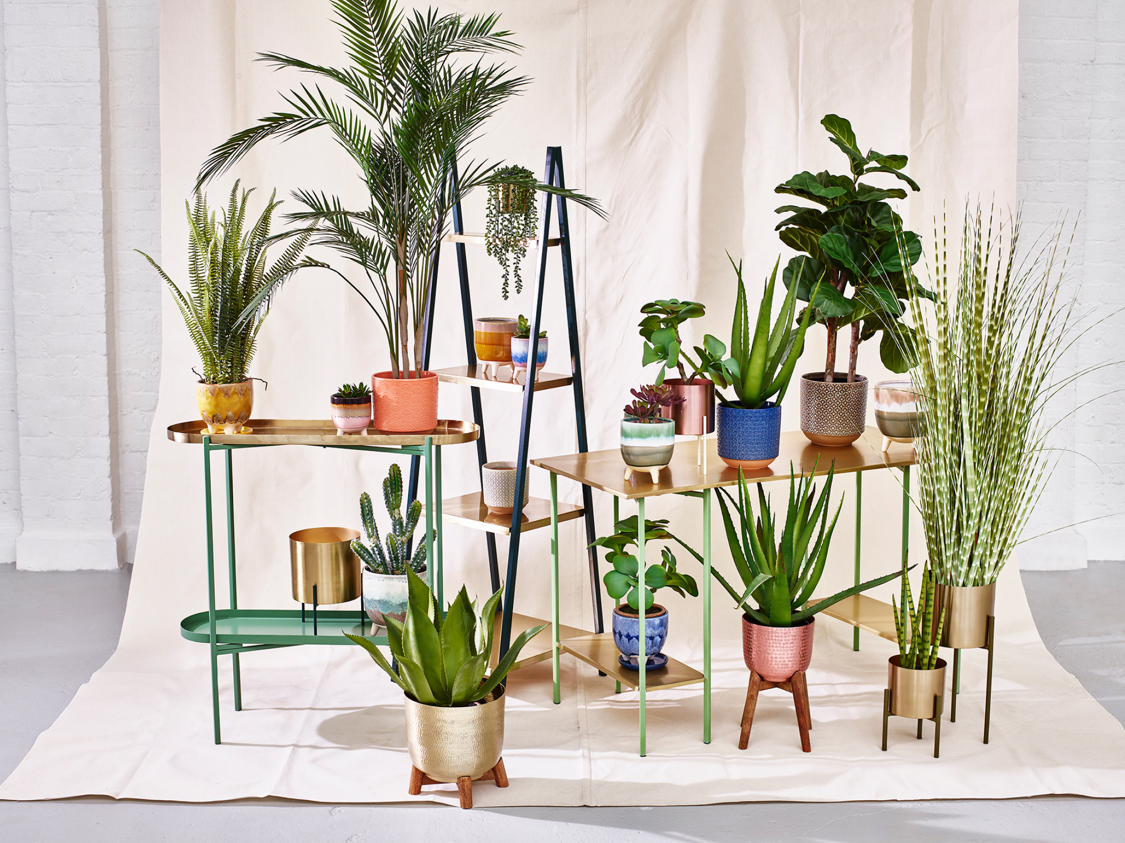 How to Pick the Perfect Pot for Your Plant Oliver Bonas